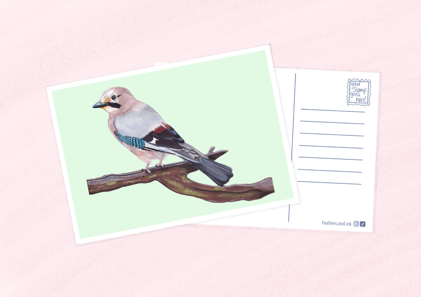 Jay Postcard A6