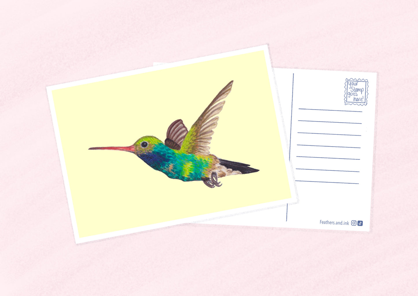 Hummingbird Postcard A6