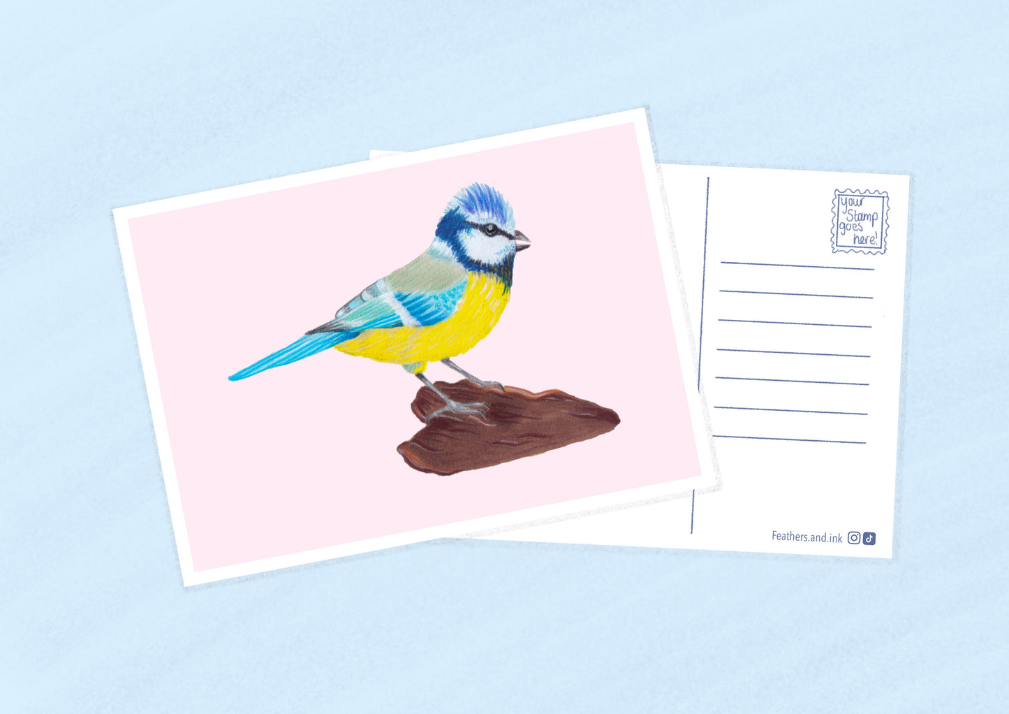 Blue Tit Postcard A6