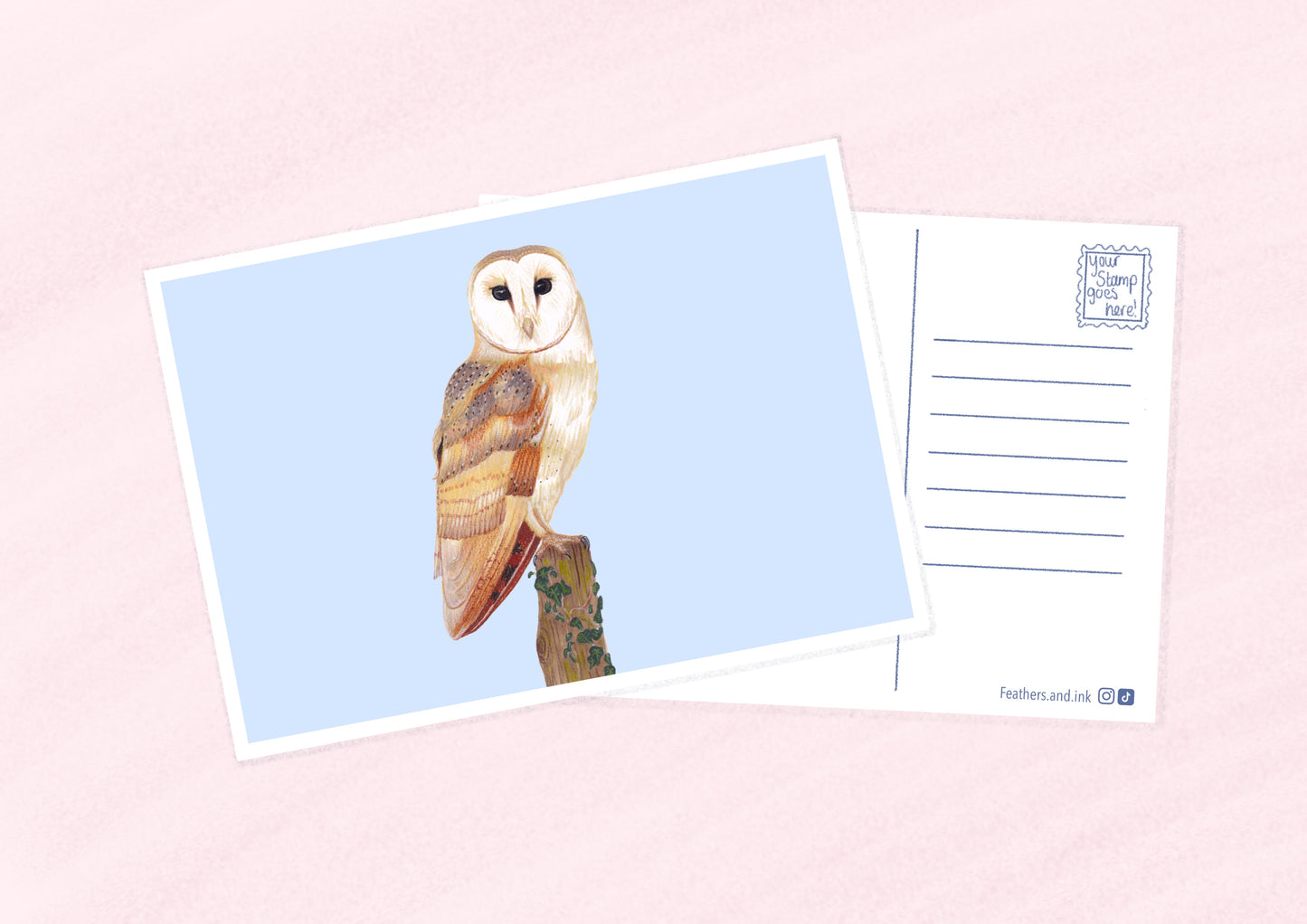 Barn Owl Postcard A6