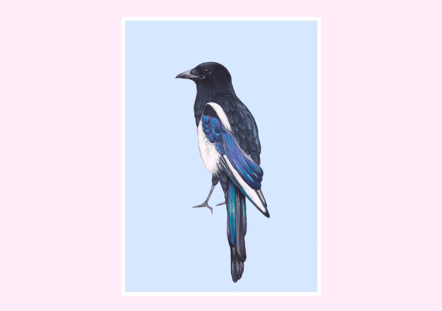 Magpie Prints