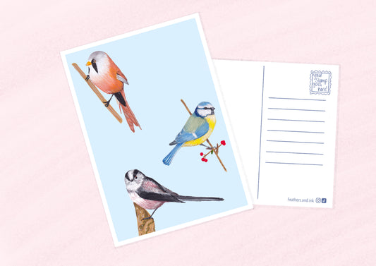 3 English Tits Postcard A6