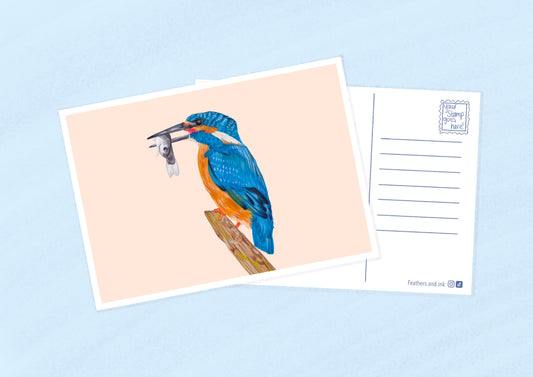 Kingfisher Postcard A6