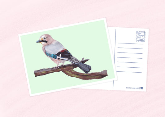 Jay Postcard A6