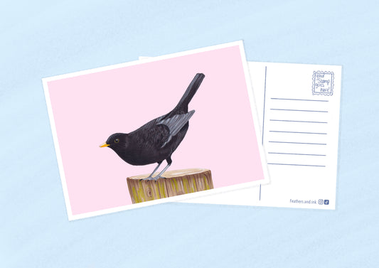 Blackbird Postcard A6
