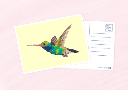 Hummingbird Postcard A6