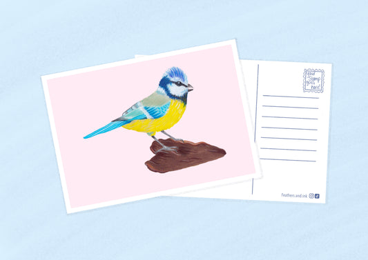 Blue Tit Postcard A6