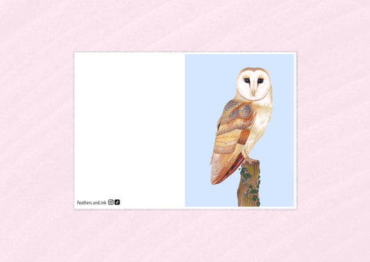 Barn Owl Card A6