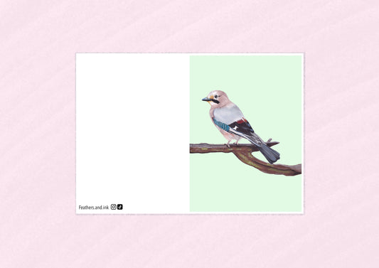 Jay Card A6