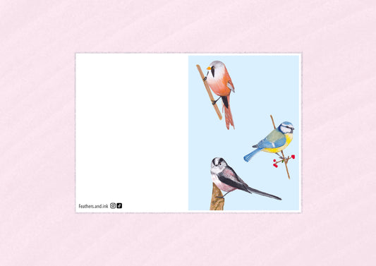 3 English Tits Card A6