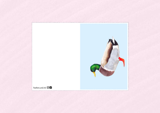 Mallard Card A6