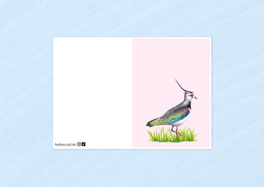 Lapwing Card A6