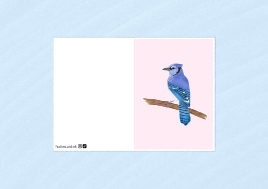 Bluejay Card A6