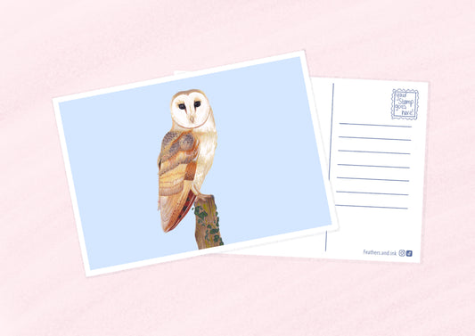 Barn Owl Postcard A6