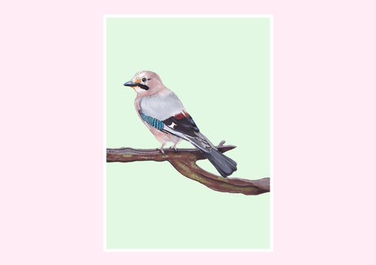 Jay Prints