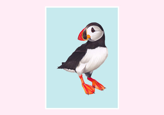 Puffin Prints