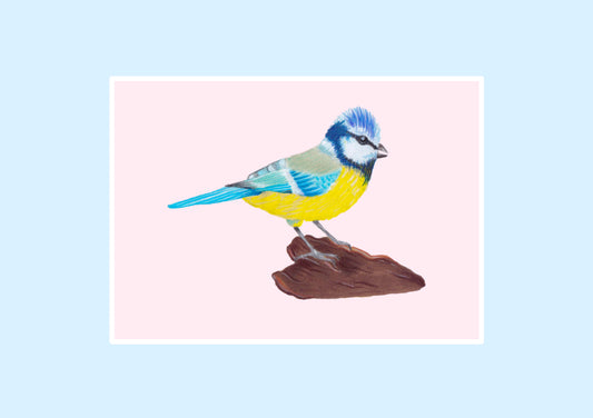 Blue Tit Prints
